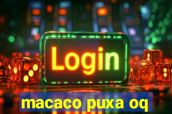 macaco puxa oq